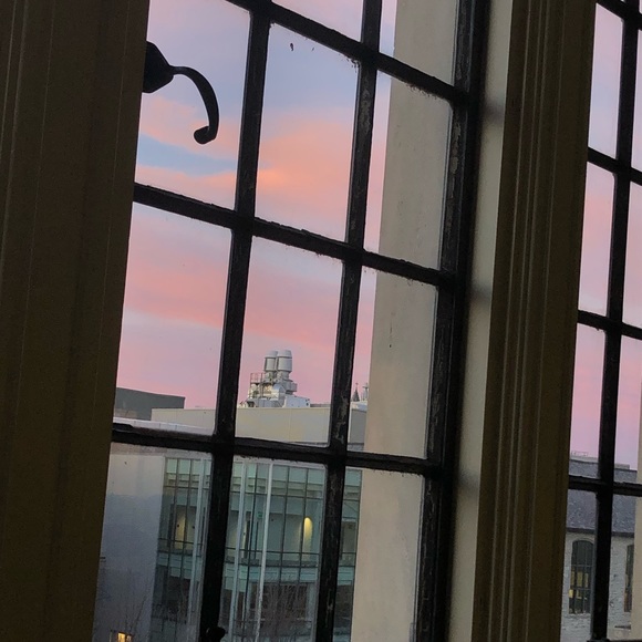 Meet your Posher, Phoebe - Picture 1 of 1